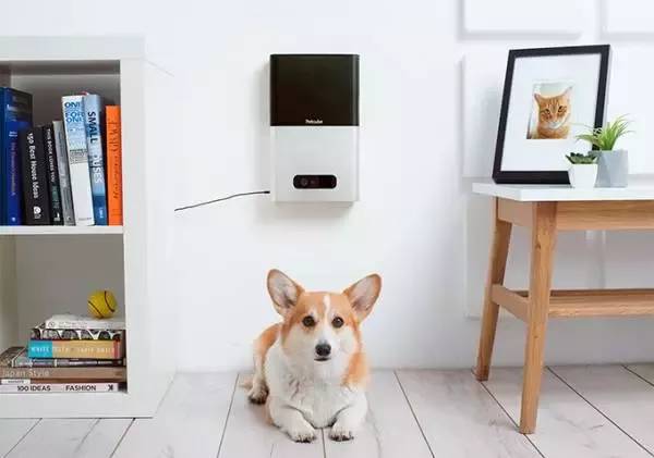 寵物智能設(shè)備設(shè)計(jì)